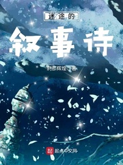 《迷途的叙事诗》（校对版全本）作者：刹那辉煌