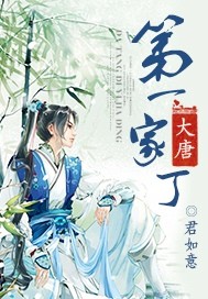 《大唐第一家丁》（校对版全本）作者：君如意